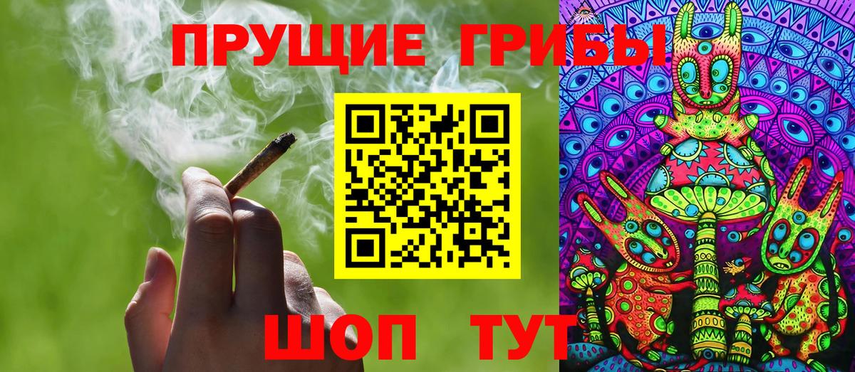 Псилоцибиновые грибы Psilocybine cubensis Димитровград