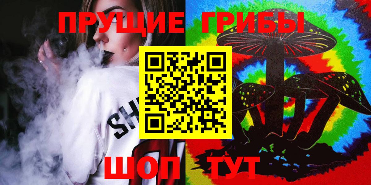 Галлюциногенные грибы Psilocybe  хочу наркоту  Димитровград  Вход с VPN 