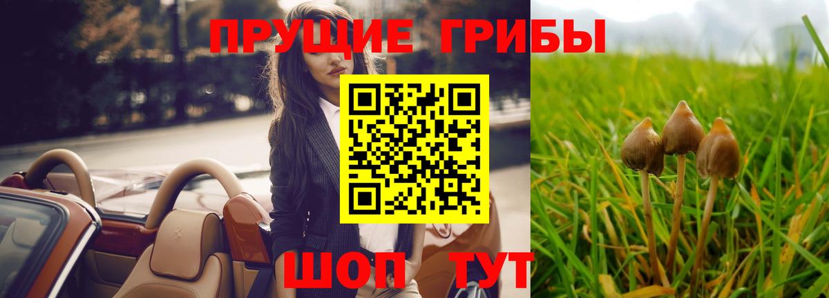 А ПВП Димитровград