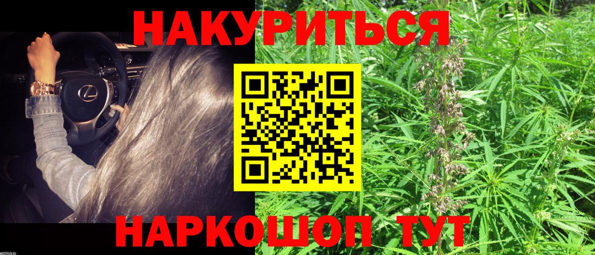 Каннабис планчик  Канабис семена  Димитровград  Вход с VPN  Бошки марихуана гибрид  Марихуана Amnesia 